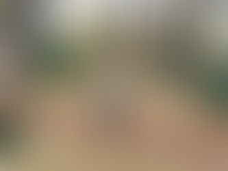 "ありがとう2017".