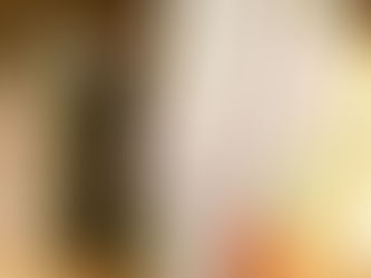 "主人の本棚（実家編）"。