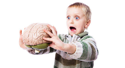 The Coolest A-Z Terminology to know about Websites and online marketing. By the way, what's Onlingo?