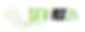 sfv pulse oficial logo