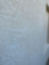 IMG-20250128-WA0016.jpg