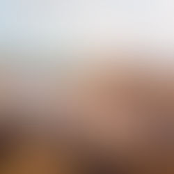 PROCLAMAÇÃO REPÚBLICA