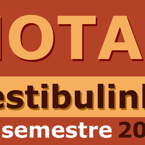 NOTAS PROCESSO SELETIVO