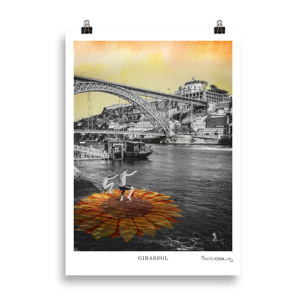 Miniatura: Girassol | Poster