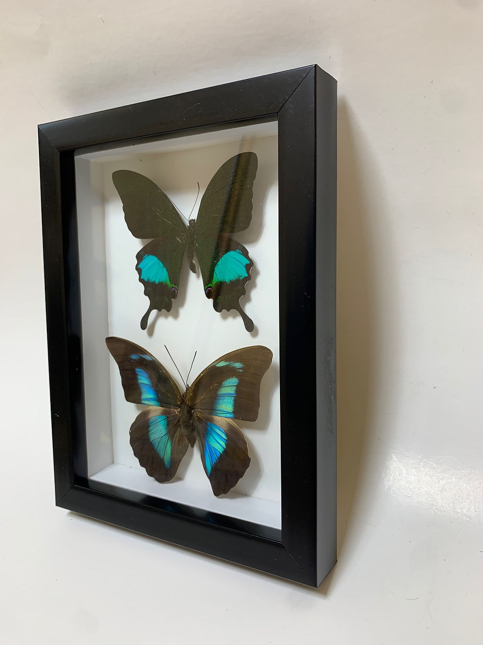 Thumbnail: Butterfly Double