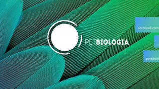 Novo site do PET Biologia UFRPE!