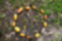 Screen Shot 2023-09-20 at 10.12.59.png