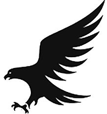 Eagle Image print.jpg