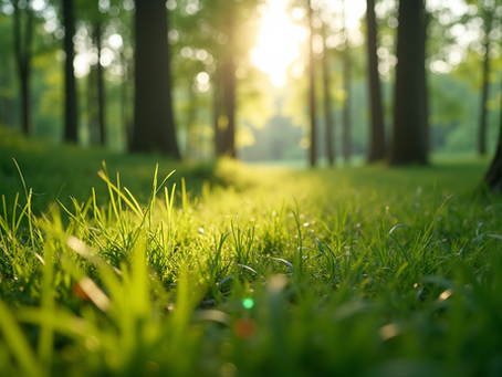 The Importance of Sustainable Living in Today's World