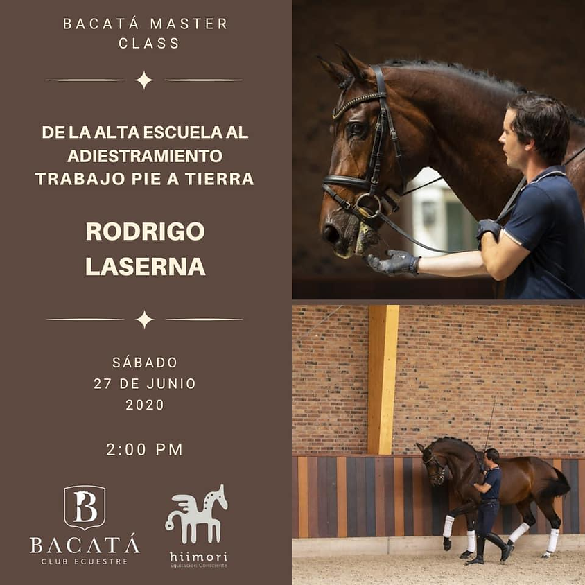 BACATÁ MASTER CLASS - De la Alta Escuela al Adiestramiento Trabajo Pie a Tierra