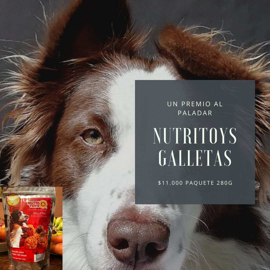 Nutritoys Galletas 280 gramos