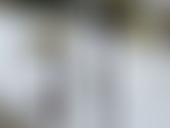 Winterknospen zum Blühen bringen!