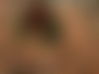 Vogel-Futter-Mobile bauen