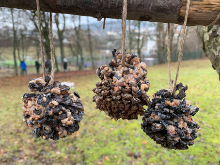 Wir machen noch mehr Vogelfutter!