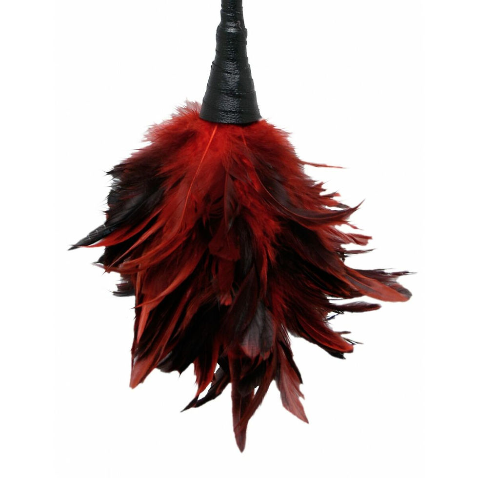 Miniaturbild: Federkitzler Pipedream Schwarz Rot
