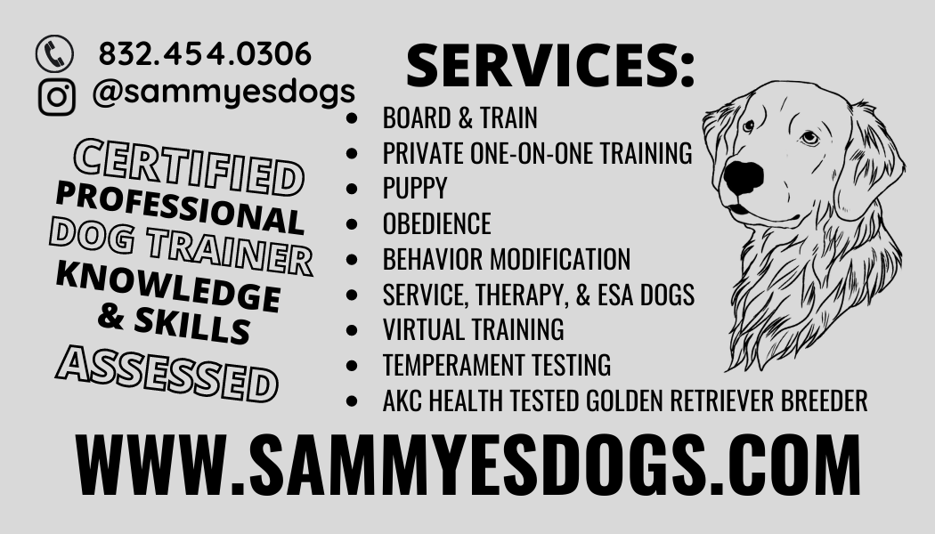 Certified Professional Dog Trainer Dog Training Sammye's Dogs
