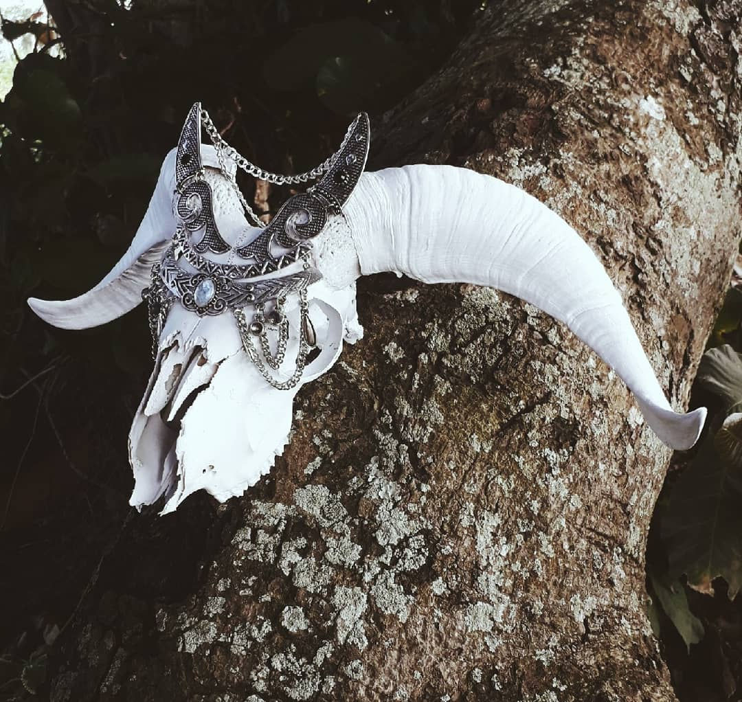 PHANTOM - Crânio de carneiro decorado