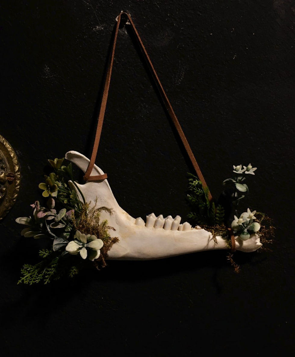 Miniatura: Hanger Mandibulare - Parceria Anatomika Flora