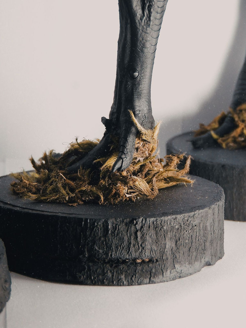 Miniatura: Castiçal pata de galinha taxidermizada