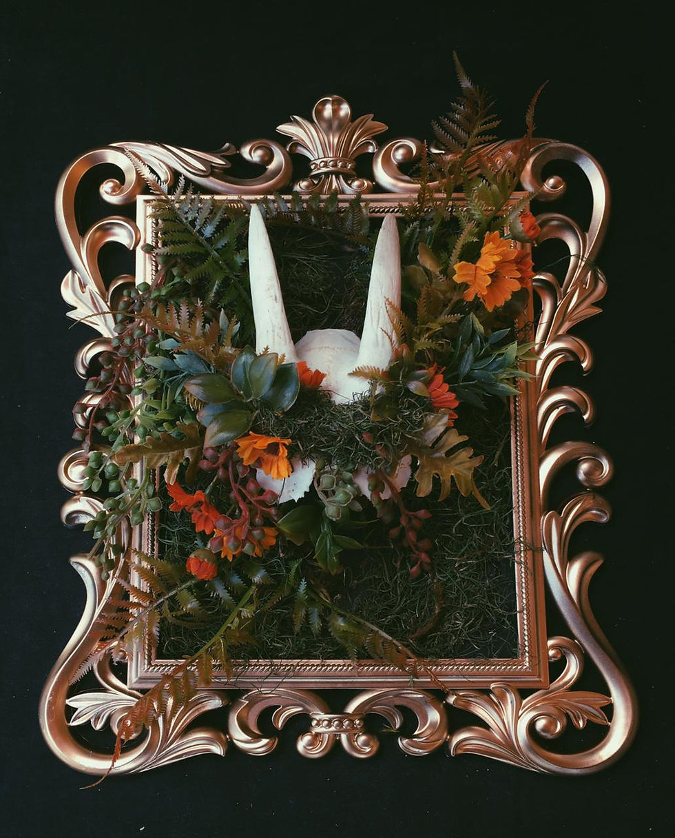 Miniatura: Autumna - Cranio caprino em moldura