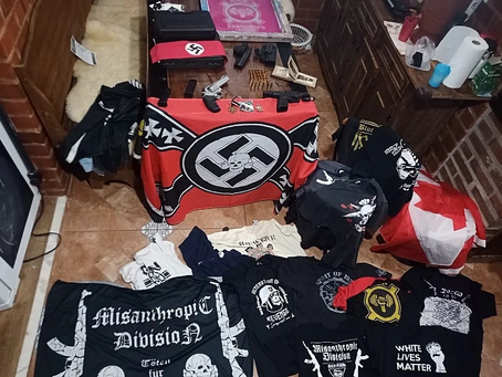 Conselho de Direitos Humanos aprova plano de enfrentamento ao neonazismo