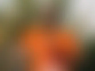 Inscrições para a Maratona Internacional de Fortaleza 2027 abrem em maio