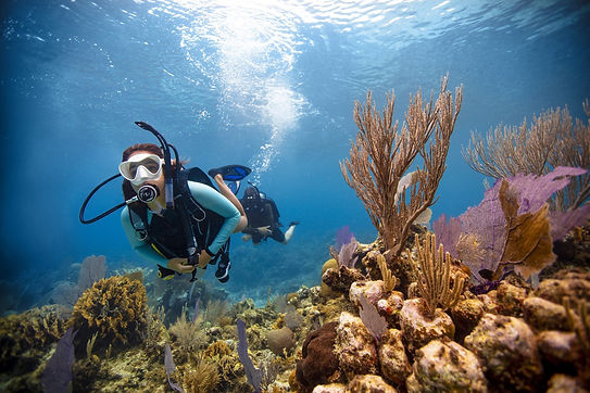 open-water-diver.jpg