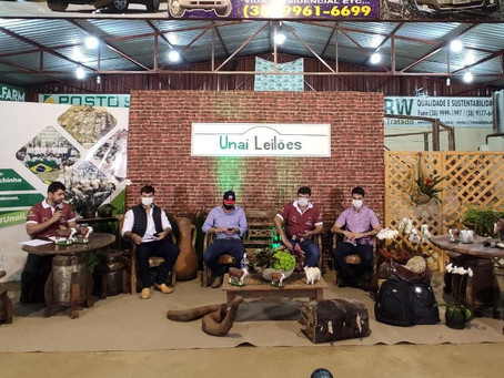 2º Leilão de Touros Braford