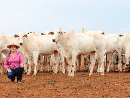 Liliane Queiroz, a Dama do Agro é participante do Circuito Nelore de Qualidade.