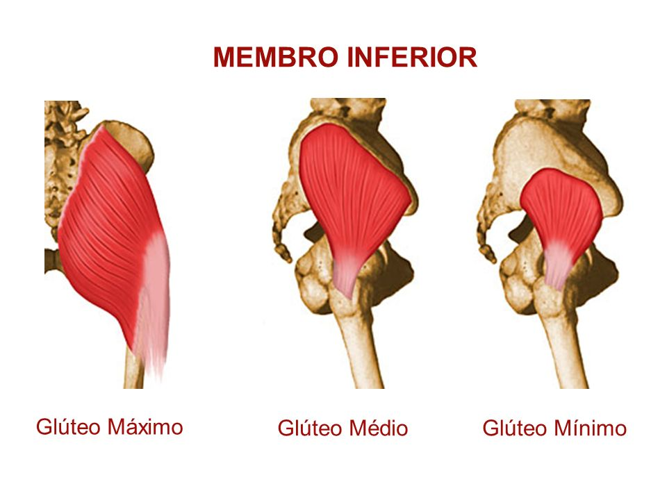 Tendinopatia Insercional Dos Glúteos Médio E Mínimo - RETOEDU