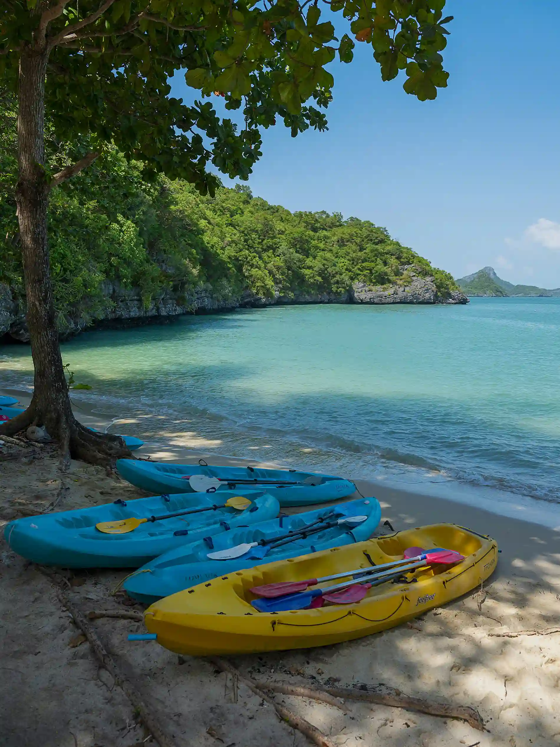 Canoes lined up on the beach