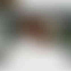 pathway leading to master suite of a luxury villa