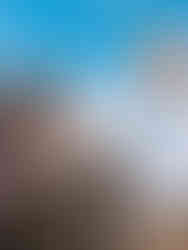 king charles coronation flags in london