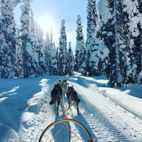 A husky ride through the winter snow in Northern Finland