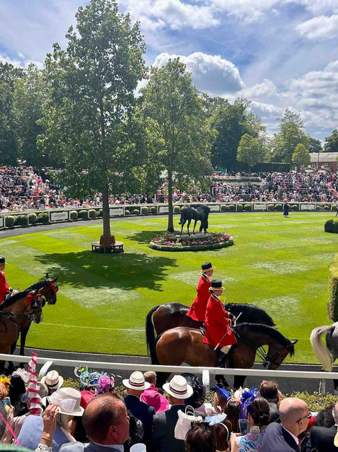 Horses on Ascot Racecourse