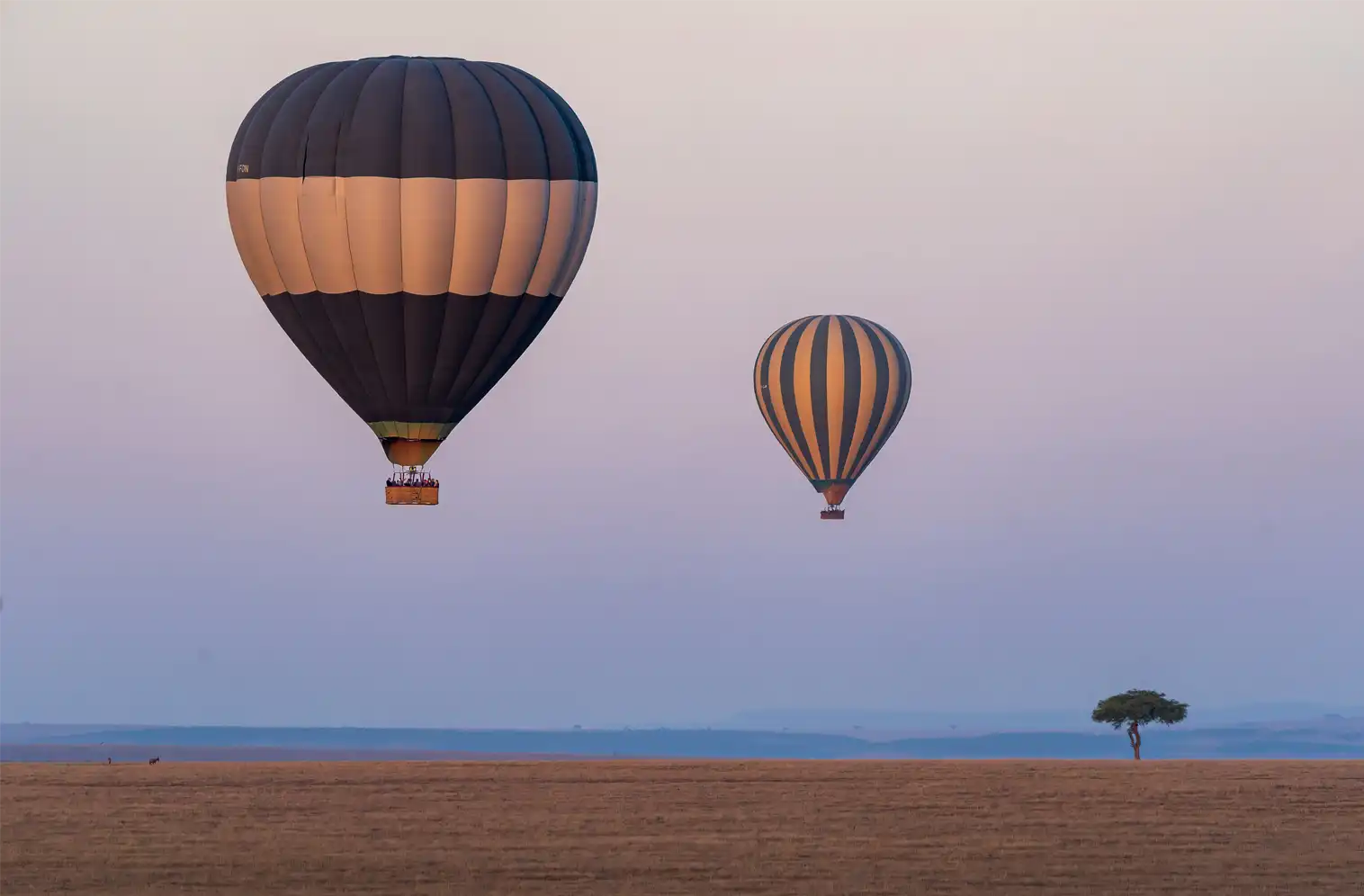 hot air balloons at dusk