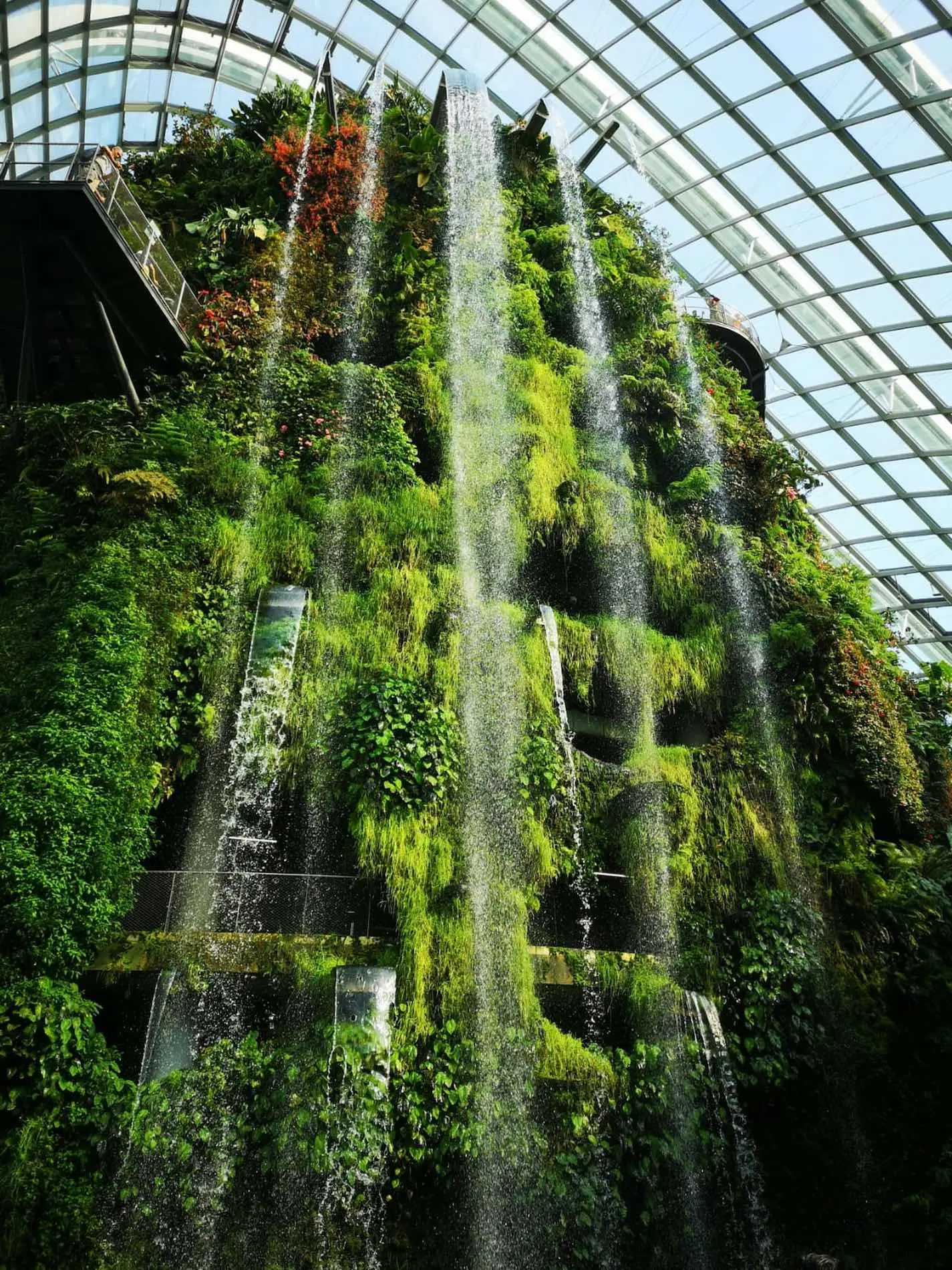 Cloud Forest, Gardens By The Bay, Singapore