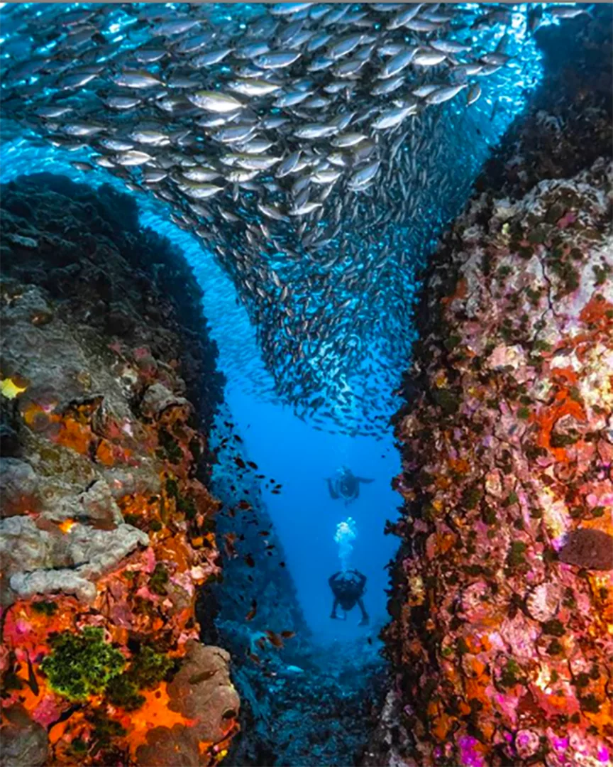 Chumphon Pinnacle diving site 