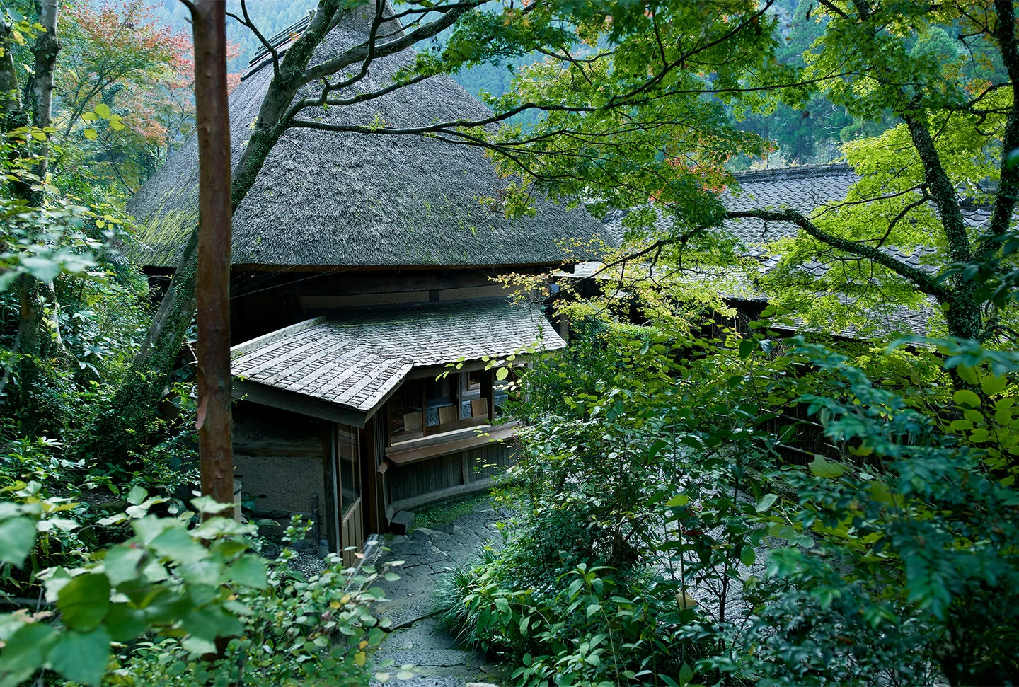 traditional thatched-roof hotel in Japan