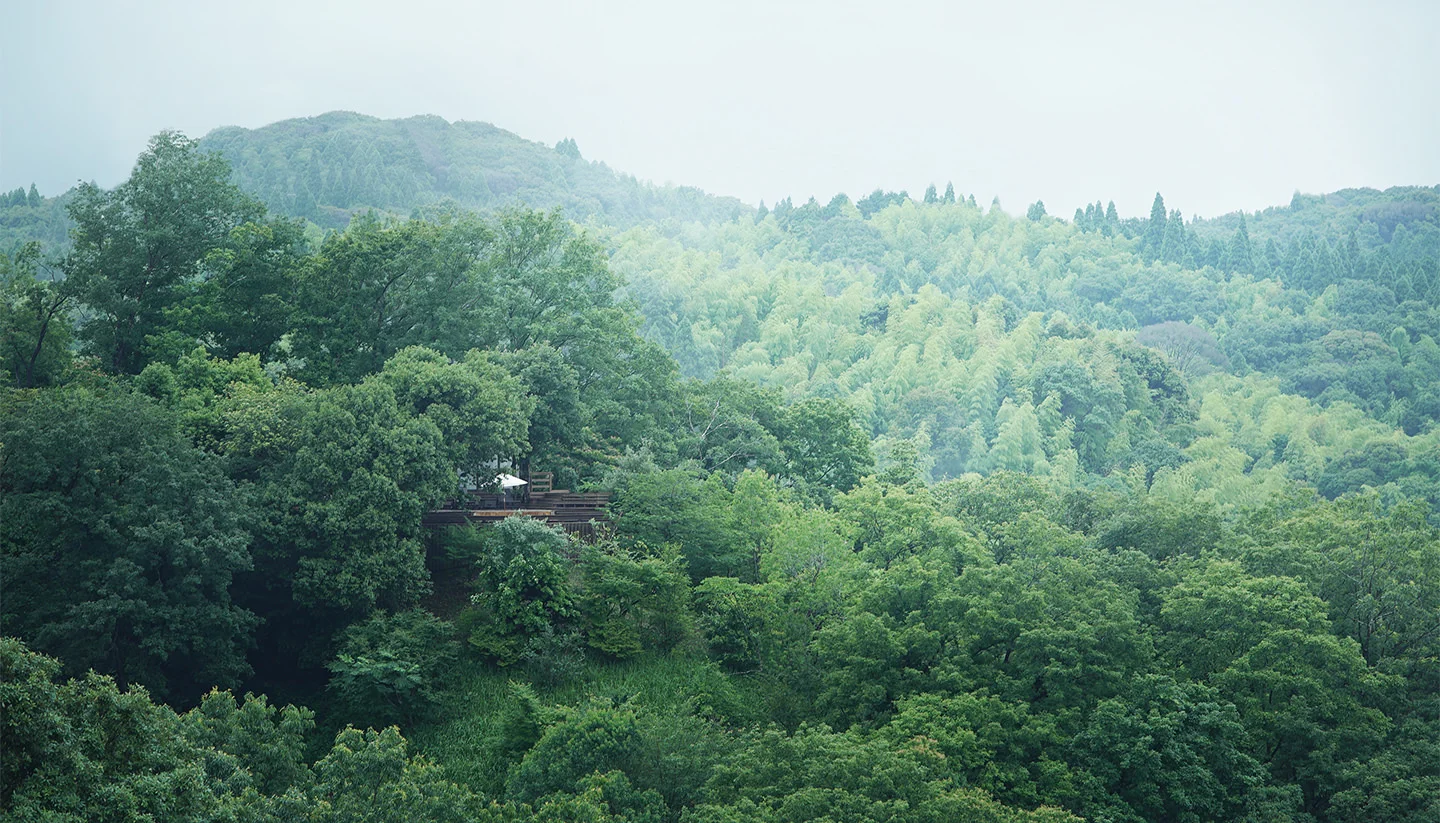 view of Tenku No Mori among the trees