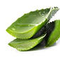 aloevera-180x180.jpg
