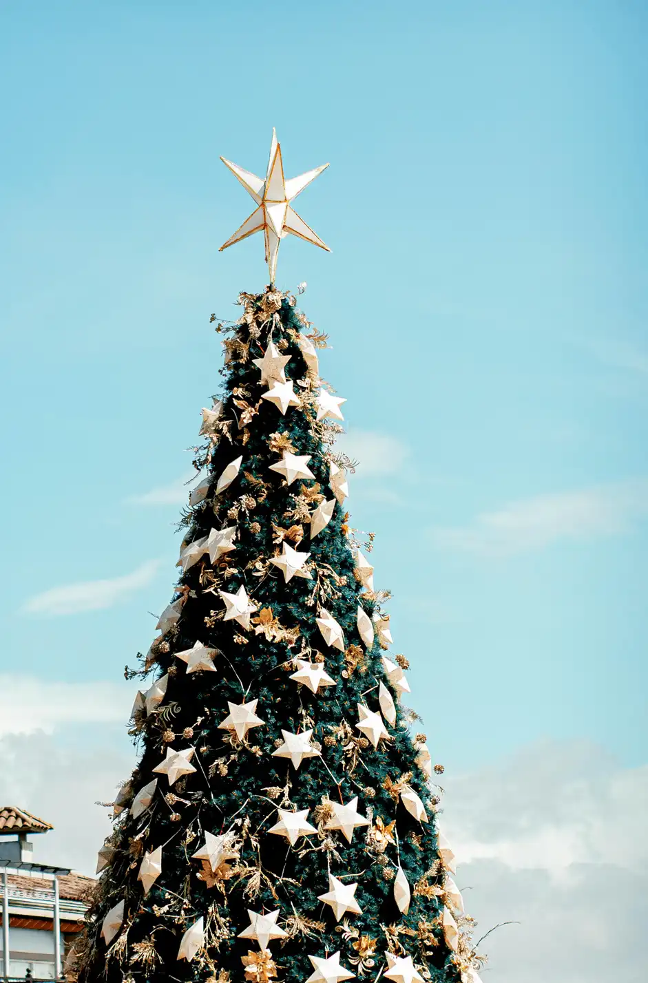 christmas tree outdoors