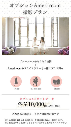 ひたちなか きょうだい 七五三写真 安い 人気