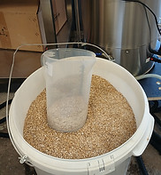 Malt concassé