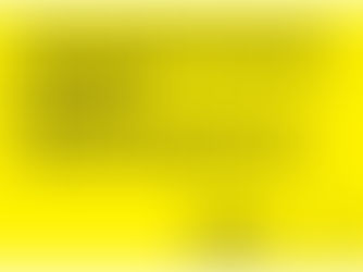 gelbes Plakat von Amnesty international mit der Aufschrift:" Meinungsfreiheit ist ein Menschenrecht"