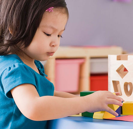 Child Playing Blocks