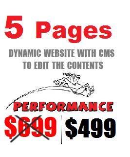 5 Pages 499