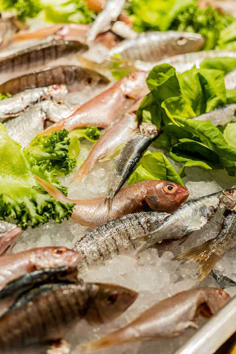 WhatsApp Image 2021-11-04 at 12.28.36.jpeg