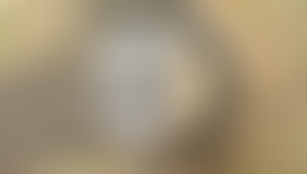 캘거리 시의회, 전기 요금 변경 가능성 검토 중