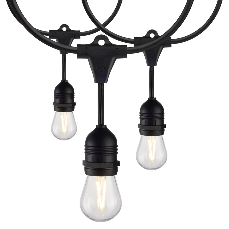 Cafe Lights